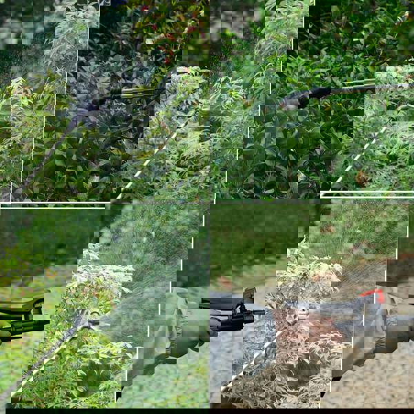 Gr8 Garden 12L Heavy Duty Knapsack Pressure Sprayer with Lance