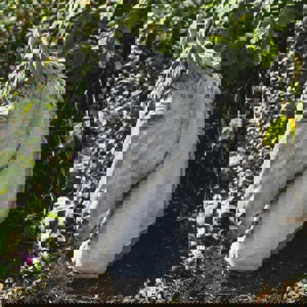 Stallion Horse Head Concrete Garden Ornament