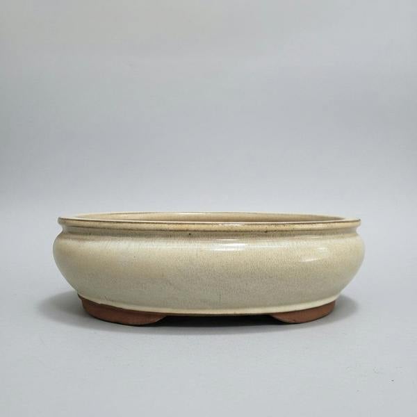 Yorkshire Bonsai 37cm Glazed Bonsai Pot | Oval | 37cm x 29cm x 10cm | White/Cream