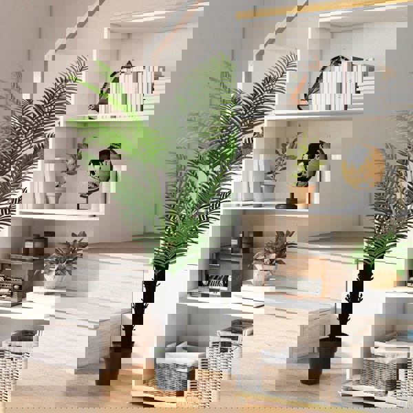 Artificial Palm Tree