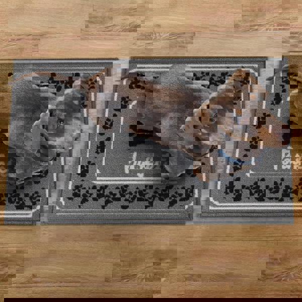 JVL Machine Washable Pet Mat 40×70 cm – Absorbent Indoor Dog & Cat Mat for Feeding, Entryways & Litter Areas – “Pawfect” Paw Print Design