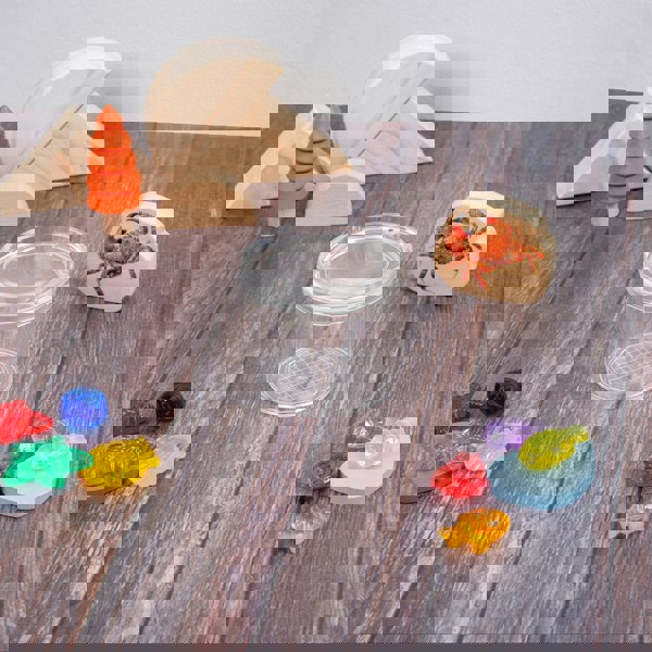 tickit Clear Bug Viewer