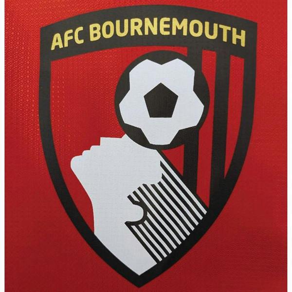 Bournemouth AFC Fade Backpack, Bags, Sports, Gift