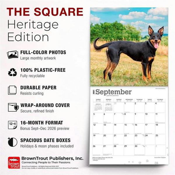 Australian Kelpies Calendar 2027, Wall Calendars, Month To View, Dogs, Gift