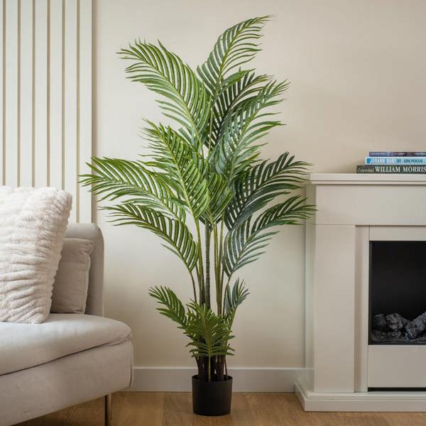 Scottish Everlastings 155cm Real Touch Pearl Palm Tree