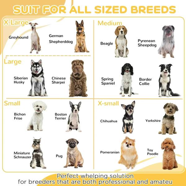 Dog playpen sizing guide poster with breed silhouettes and size groups