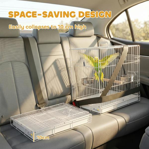 Bird Cage