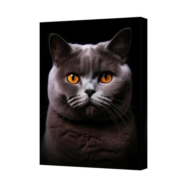 Benjamin Tate Design Gray Cat Canvas Wall Art Portrait With Amber Eyes Print