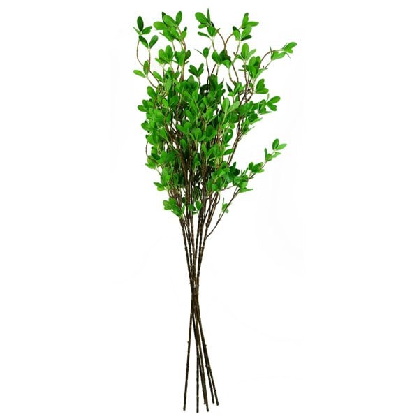 Leaf Pack of 6 x 100cm Mini Leaf Ficus Stem