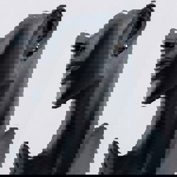 T. H. Baker Silver Gold Plated 5mm Ball Stud Earrings S4005