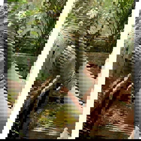 Infinity Leather Women's Leather Wool Lined Bow Knot Accent Gloves