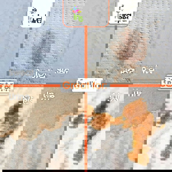 Inspired Professional Mattress Stain Remover 500ml