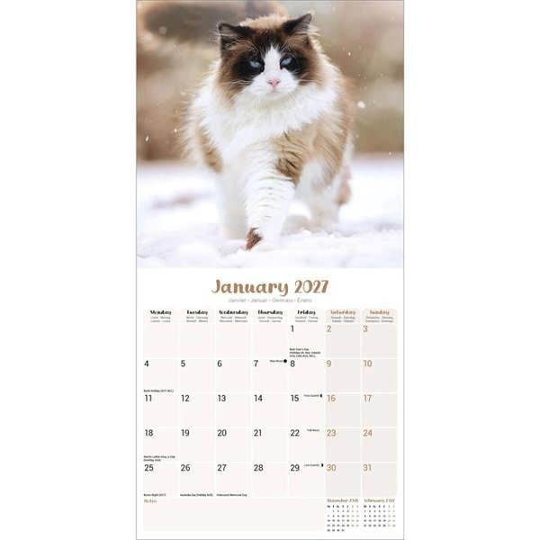 Ragdoll Cats Calendar 2027, Wall Calendars, Month To View, Cats, Gift