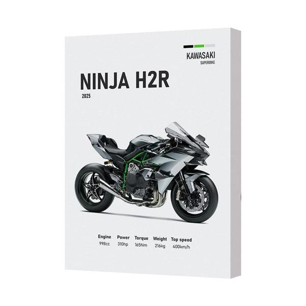 Benjamin Tate Design Kawasaki Ninja H2R Canvas Wall Art Motorcycle Print 2025