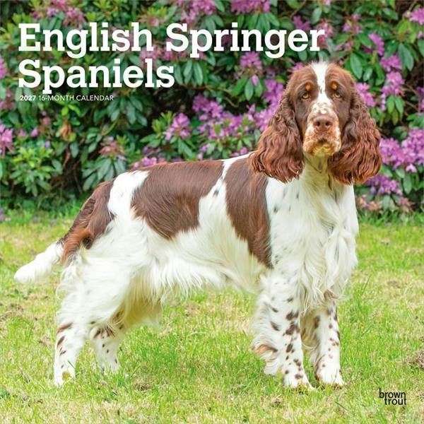 English Springer Spaniels Calendar 2027, Wall Calendars, Month To View, Dogs, Gift