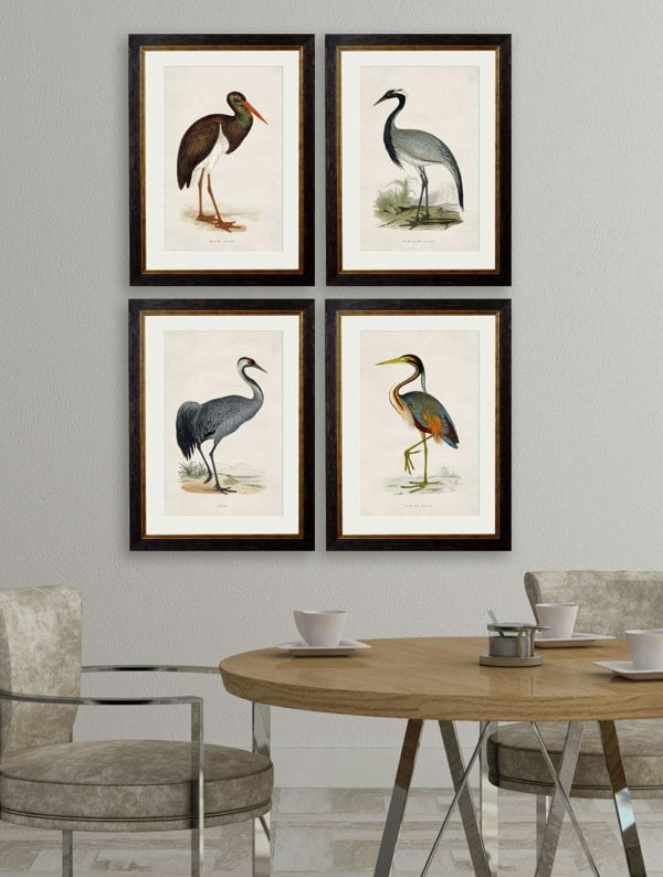 Exceptional Art c.1850's British Wading Birds