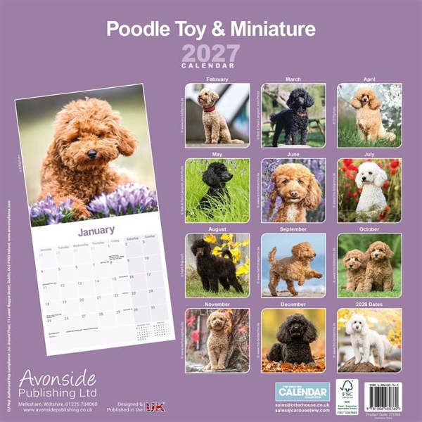 Toy & Miniature Poodle Calendar 2027, Wall Calendars, Month To View, Dogs, Gift