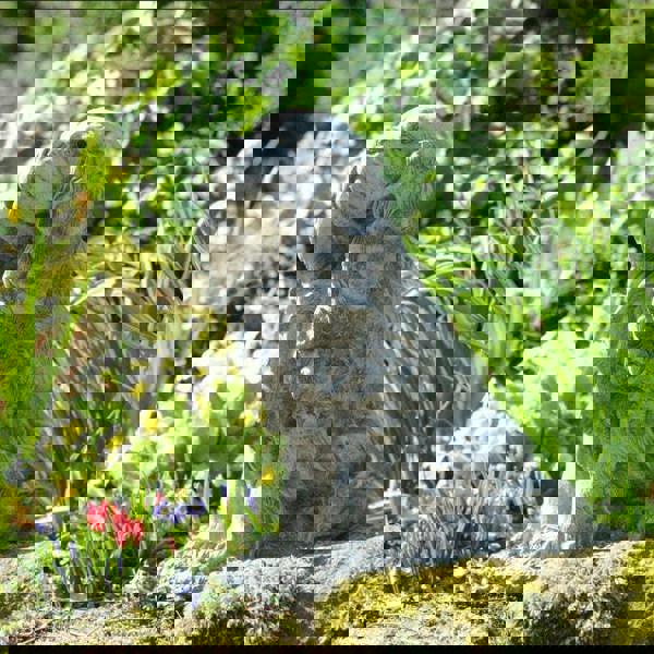 Stone Cast King Charles Spaniel Ornament