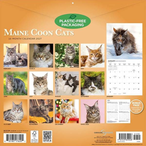 Maine Coon Cats Calendar 2027, Wall Calendars, Month To View, Cats, Gift