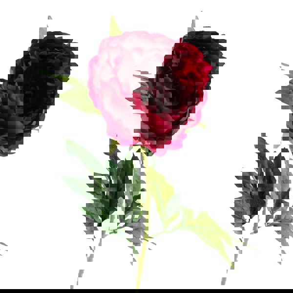 Leaf Pack of 6 x 80cm Artificial Dark Pink Peony Stem