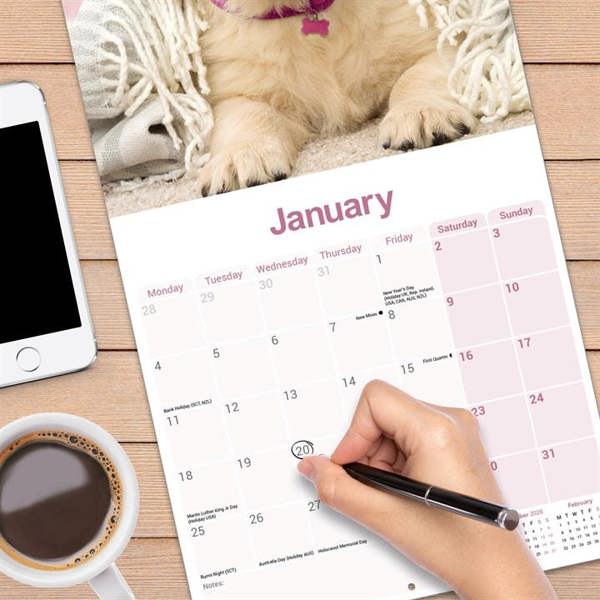 Golden Retriever Calendar 2027, Wall Calendars, Month To View, Dogs, Gift