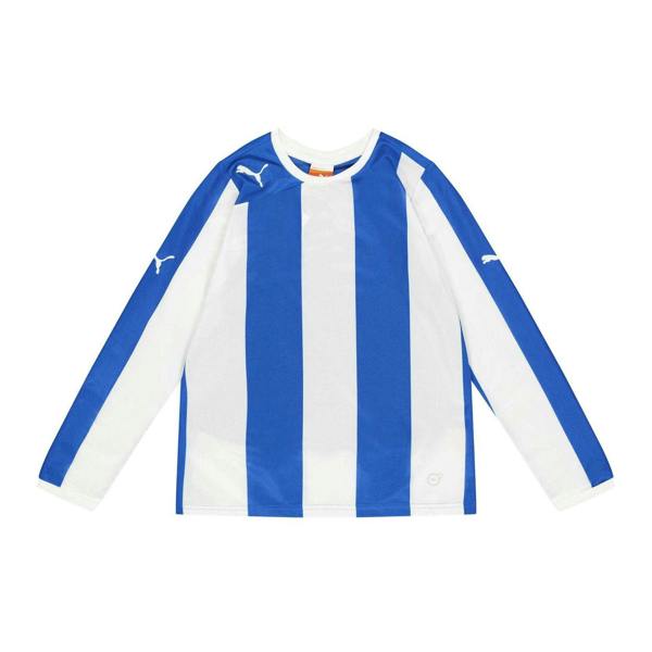 Puma Childrens/Kids Long-Sleeved Training Jersey - Blue - 