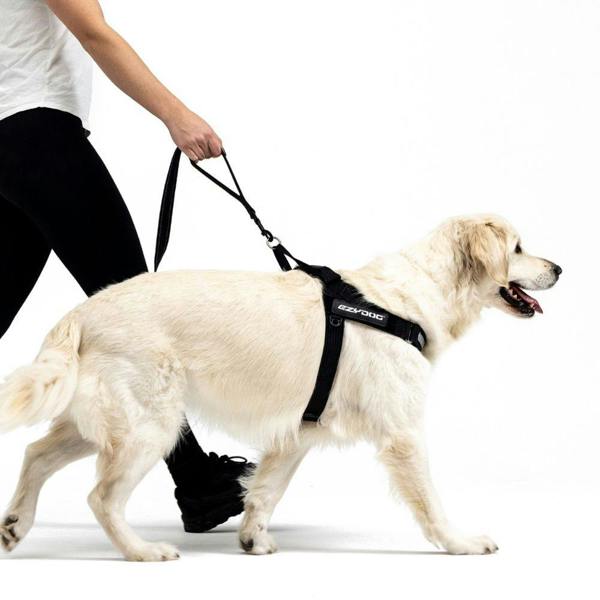 EzyDog Soft Trainer Dog Lead