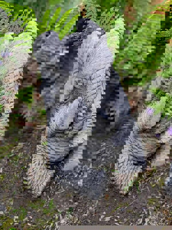 Lovely Trunk-Down Large Elephant Garden Ornament