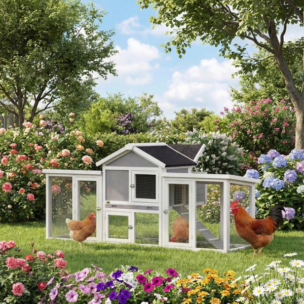 Chicken Coop
