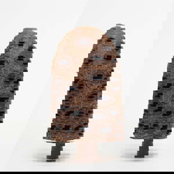 The Arboretum Handmade Wooden Hairy Banksia Nut Ornament