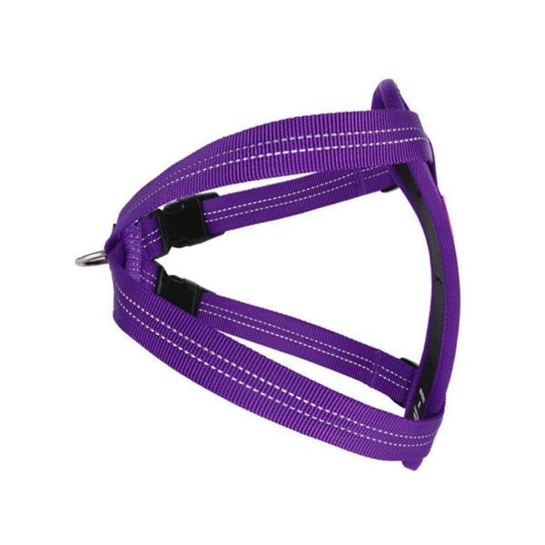 EzyDog Essential Chest Plate Dog Harness in Purple