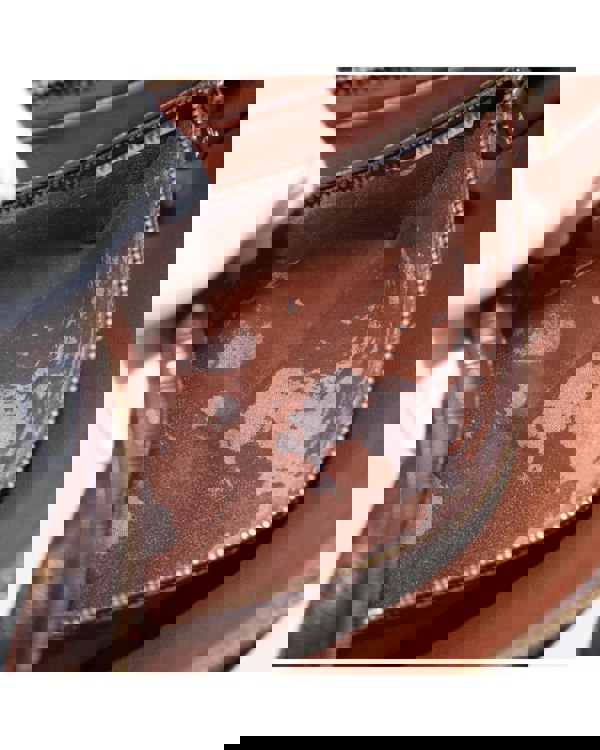 193977683.jpg