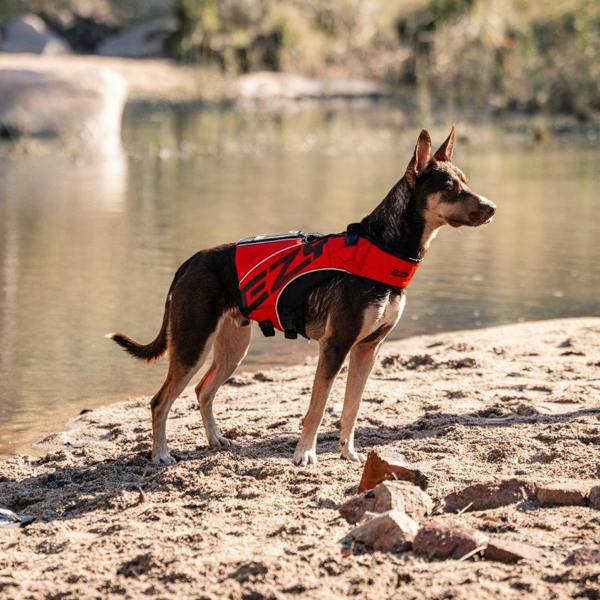 EzyDog DFD X2 Boost Dog Life Jacket in Red