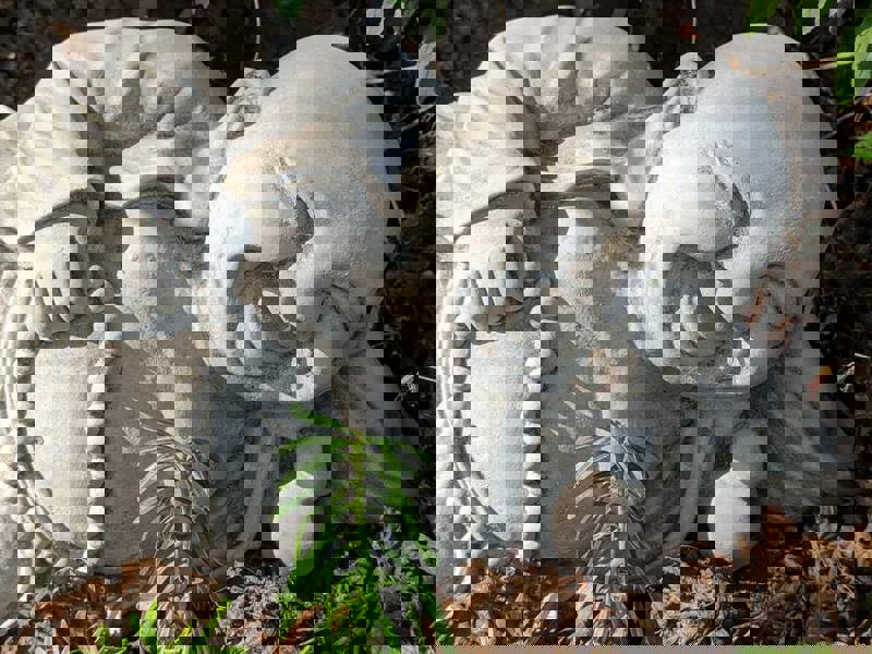 Happy Laying Buddha Sculpture