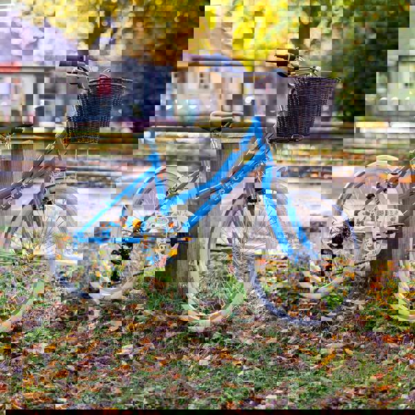 Elswick Cherish 20" Kids Heritage Bike