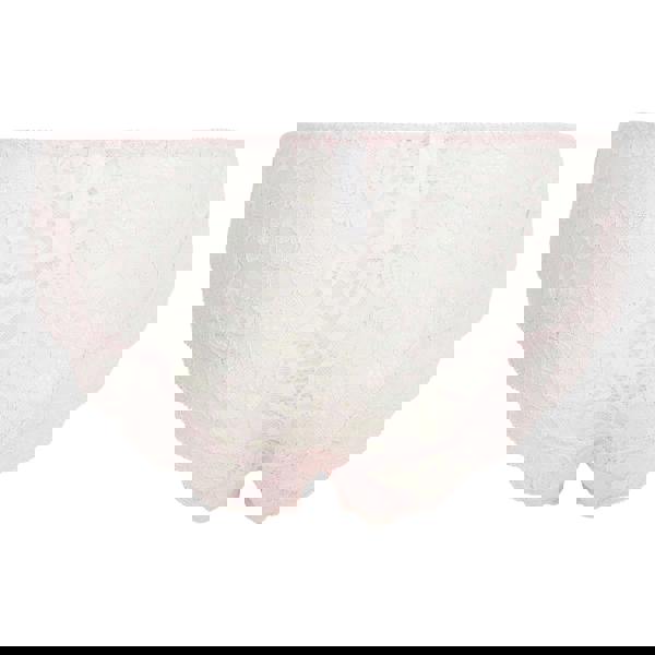 Lulu Stretch Lace Brief - Pale Pink Back