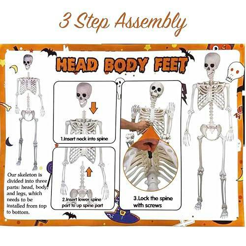 Halloween Life Size Poseable Skeleton Prop 165cm - Realistic Human Skeleton Decoration image 13