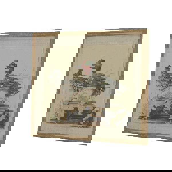 Hill Interiors Flora & Fauna Collection Teals Beaded Linen Framed Wall Art - Brown/White/Black - 