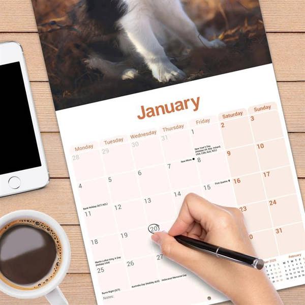 Border Collie Calendar 2027, Wall Calendars, Month To View, Dogs, Gift