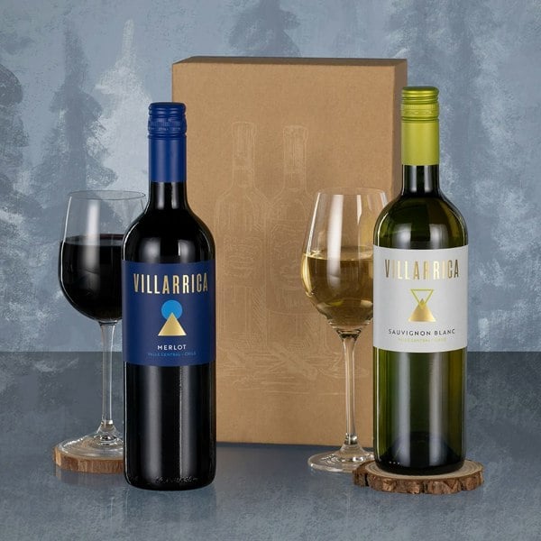 Wine Duet- 2 Bottle Wine Gift