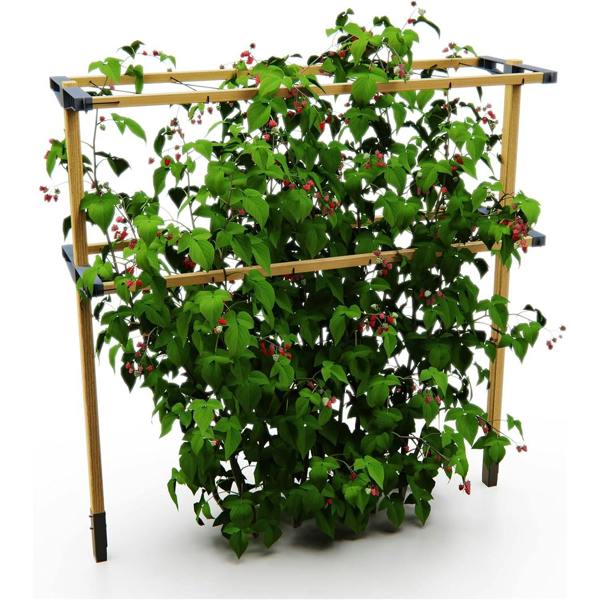 BERRY BUDDY climbing solution for berries - Light brown - Grey