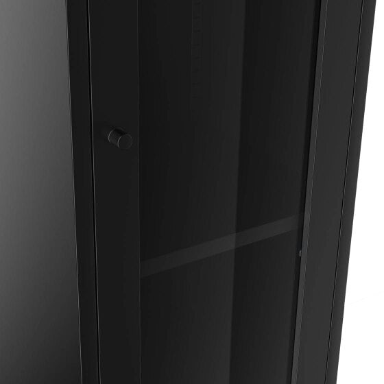 Wyld Haus Frank Black Steel Cabinet Glass Door 4 Shelves