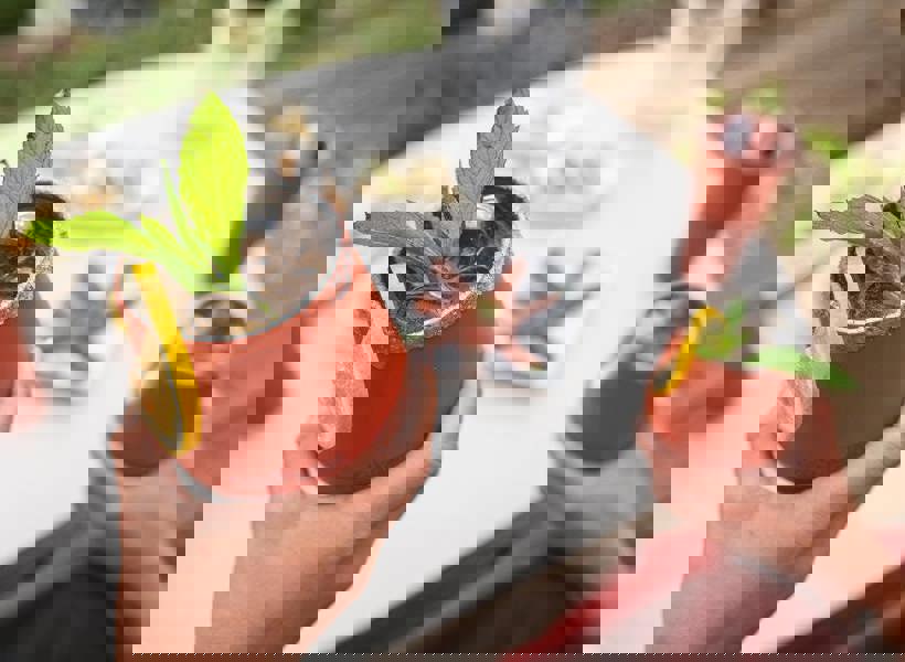 Klean Kanteen 280ml Rise Wine Tumbler