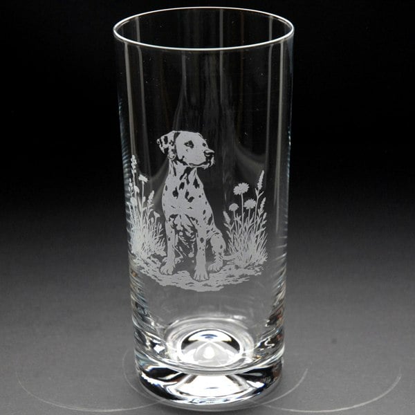 Glyptic Glass Art Dalmatian Dog Highball Glass - Hand Etched/Engraved Gift