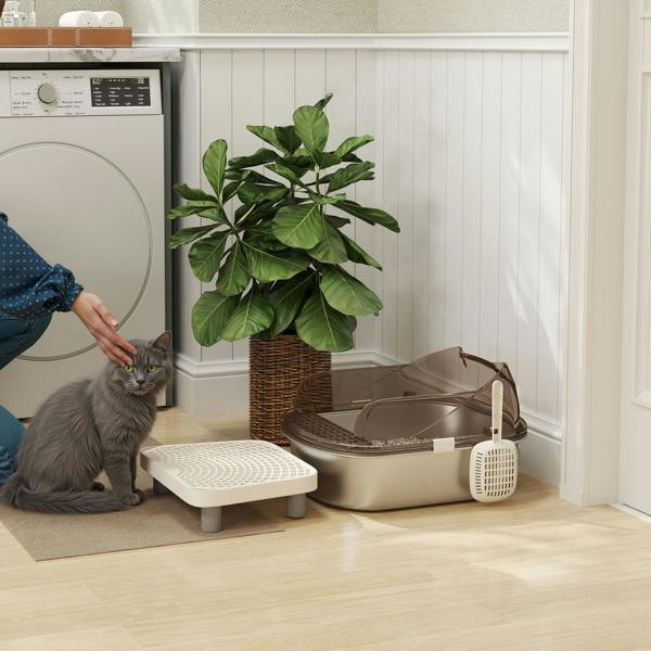 Cat Litter Box