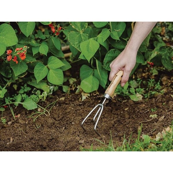 Kent & Stowe Hand 3-prong Cultivator, Fsc - Multi Colour