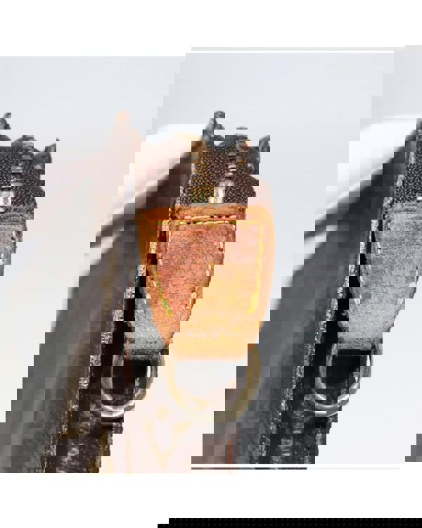 193972228.jpg