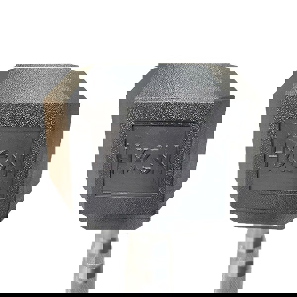 Hexagonal 10kg dumbbell with 'HXGN' branding