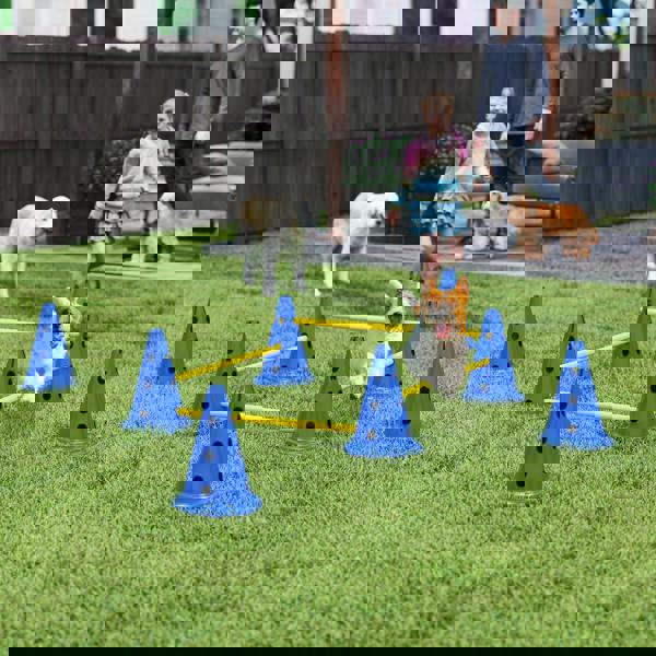 Pet Agility Set
