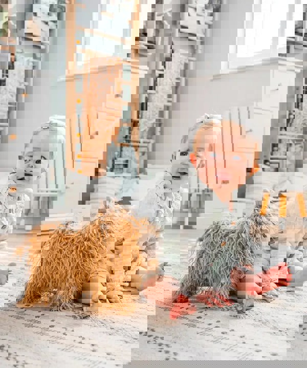 Toddler playing with highland cow teddy toy